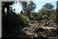 P4050022.JPG