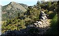 P4050025.JPG