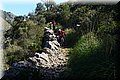 P4050027.JPG