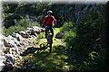 P4050029.JPG