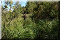 P4050036.JPG