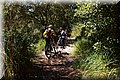 P4050043.JPG