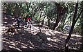 P4050045.JPG