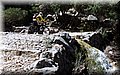 P4050052.JPG
