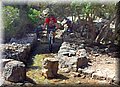 P4050055.JPG