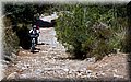 P4050081.JPG