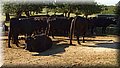 P4100235.JPG