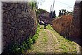 P4100236.JPG