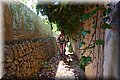 P4100241.JPG