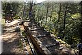 P4100260.JPG
