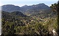P4100281.JPG