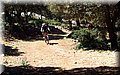 P4100313.JPG