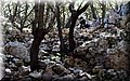 P4100318.JPG