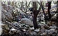 P4100319.JPG