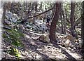 P4100326.JPG