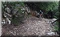 P4110336.JPG