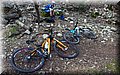 P4110338.JPG