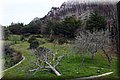 P4110344.JPG