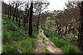 P4110345.JPG
