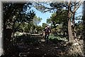 P4120381.JPG