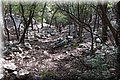 P4120403.JPG