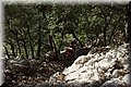 P4120413.JPG