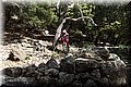 P4120418.JPG