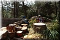P4120420.JPG