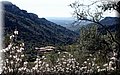 P4190020.JPG
