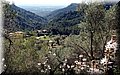 P4190021.JPG