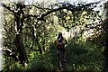 P4190101.JPG