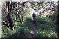 P4190104.JPG