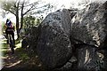 P4190160.JPG