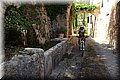 P4190205.JPG