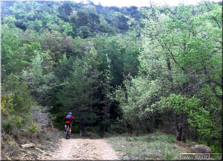zona 0 057.jpg