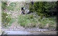 IMG_8022.JPG