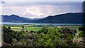 IMG_8029.JPG