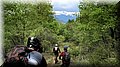 IMG_8030.JPG