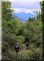 IMG_8031.JPG