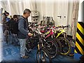 IMG_9177.JPG