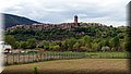 P4210224.JPG