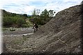 P4210236.JPG