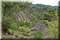 P4210241.JPG