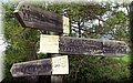 P4210242.JPG