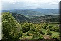 P4210244.JPG