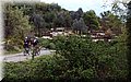 P4210247.JPG
