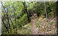 P4210261.JPG