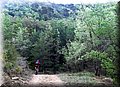zona 0 057.jpg