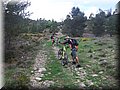 zona 0 073.jpg