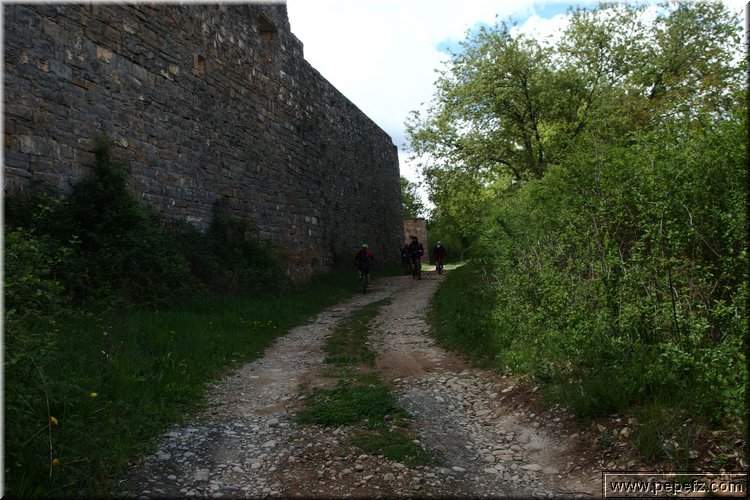 P4220425.JPG